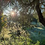 Podere Al Covo - House, Garden & Vineyard - Διαμέρισμα Αλγκέρο