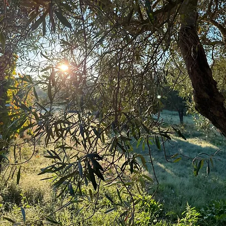 Podere Al Covo - House, Garden & Vineyard - Apartmán Alghero