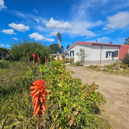 Apartmán Podere Al Covo - House, Garden & Vineyard - *