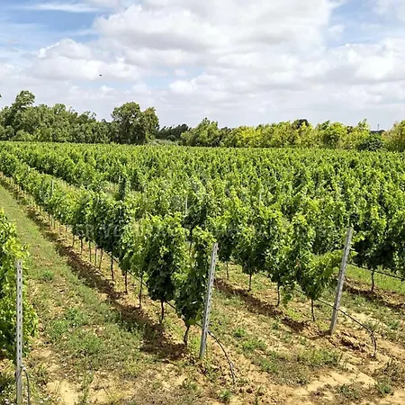 Apartmán Podere Al Covo - House, Garden & Vineyard -