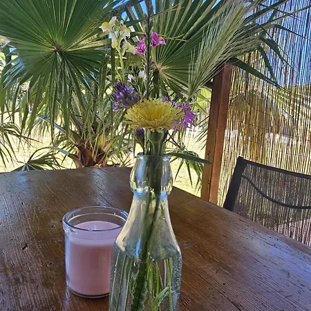 Daire Podere Al Covo - House, Garden & Vineyard -