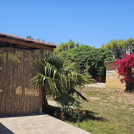 Podere Al Covo - House, Garden & Vineyard - Alghero