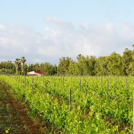 Podere Al Covo - House, Garden & Vineyard -